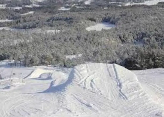 Trivelig Og Nylig Oppfort Med Innendors Peis Holiday home
